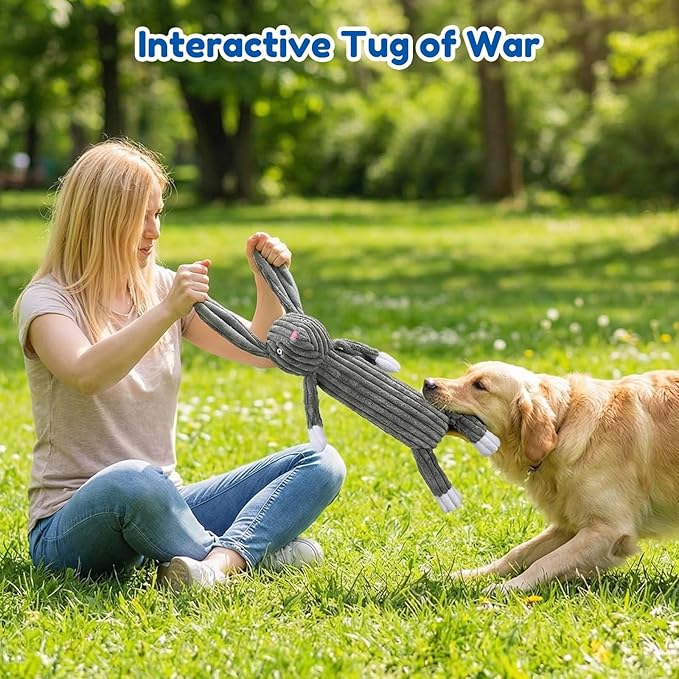 No Stuffing squeaky Dog Toys for large dogs,5pack plush Crinkle chew Dog Toys to Keep Them Busy,Durable Cute Animals Puppy Teething toys for Small Medium Large Breed, dog Gifts & Tug of War Toys