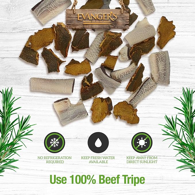 Evanger's Gently Dried Beef Tripe Dog & Cat Treats – 3.5 oz – Single-Ingredient, Grain-Free, Protein-Rich Snack – Supports Optimal Digestive Wellness & Healthy Vibrant Coats