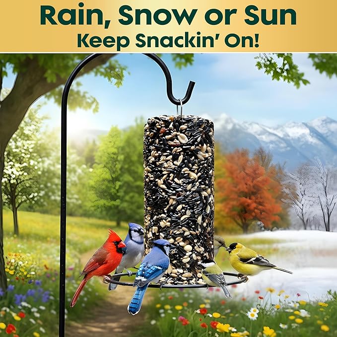 All Year Round Bird Seed Cylinders with Hole – All Season Wild Bird Food for Blue Jays, Cardinals, Doves, Finches & More – High Energy All Natural Blend, No Fillers – USA Made (4" x 7.75") 2 Pack