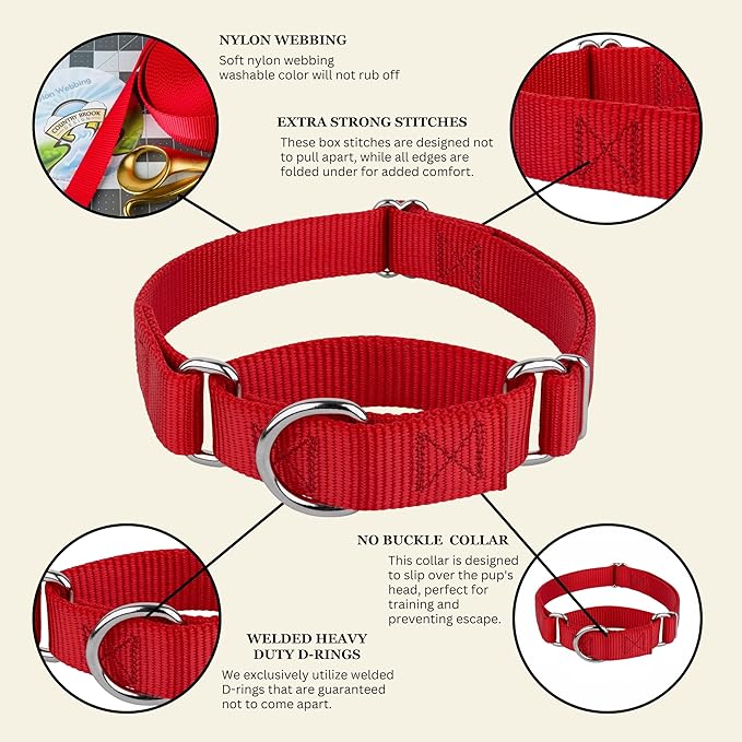 Country Brook Petz - Martingale Dog Collar - Heavy-Duty Training Collar with No Buckle - Service Dog Collar for All Pups - 20 Vibrant Colors (Red, 3/8 Inch, 3XS)