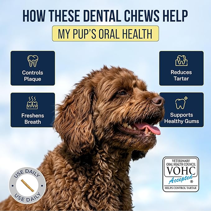 Tartar Shield Soft Rawhide Chews | Safe Dental Treats for Small Dogs | Vet VOHC Approved | Daily Bone Cleans Teeth & Gums Fresh Breath Oral Health Support | USA Made | (Small Dogs / 12 Count)