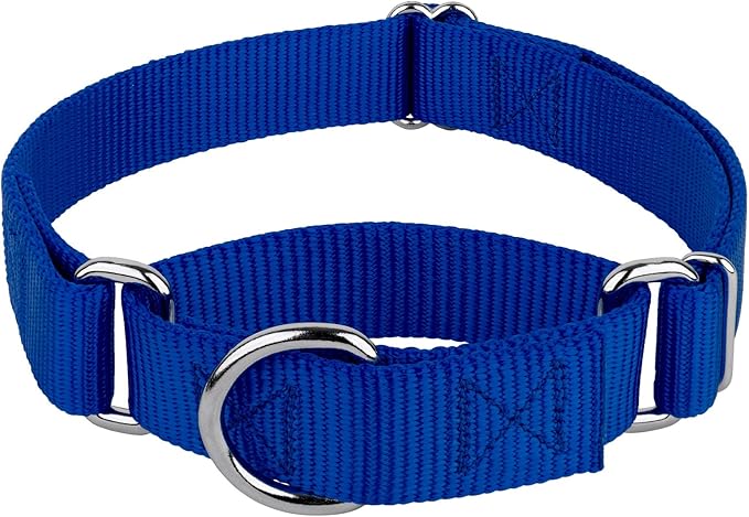 Country Brook Petz - Martingale Dog Collar - Heavy-Duty Training Collar with No Buckle - Service Dog Collar for All Pups - 20 Vibrant Colors (Royal Blue, 1 Inch, Medium)