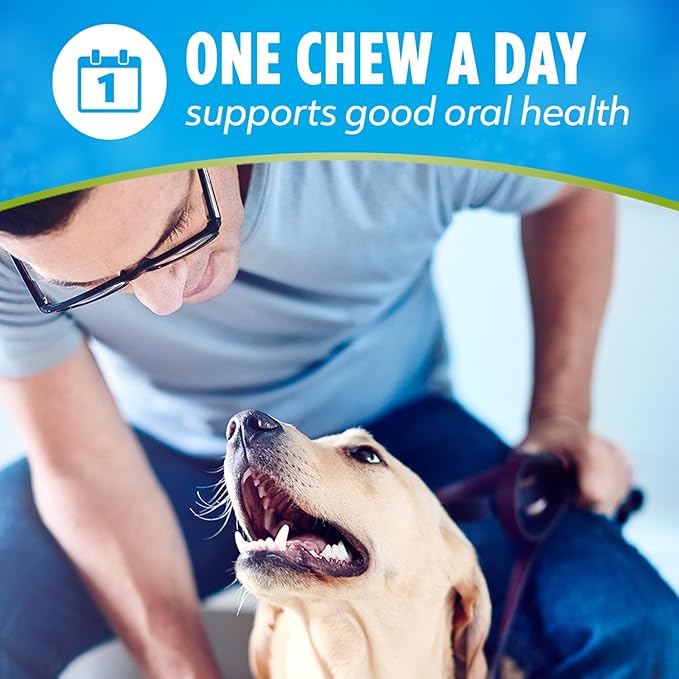 DentaLife ActivFresh Pack of 2 Dog Chews for Large Dogs 40 lbs. and Up, Dental Chews to Freshen Breath, Chicken Flavor, 35 oz. Each, 30 Chews Each/60 Total Chews - 30 ct. Pouch
