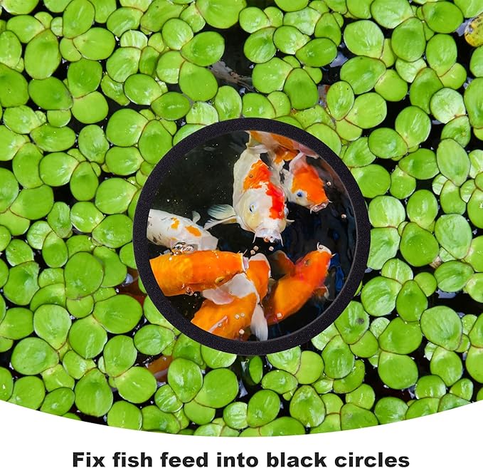 PAGOW 10pcs Fish Feeding Rings Set, Floating Aquarium Plant Corral, Round Fish Feeder Rings for Fish Tank, Floating Plant Ring, Fish Tank Aquarium Accessories for Betta (Black)