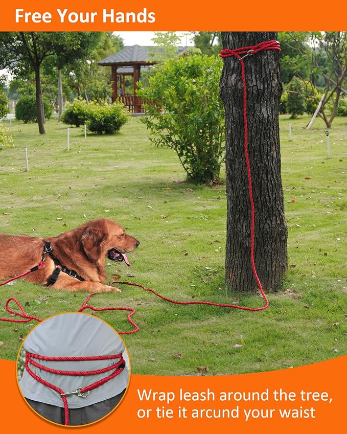 Long Dog Leash for Dog Training 100FT, Heavy Duty Dog Lead for Large Medium Small Dogs Outside Walking, Playing, Camping, or Yard,Red