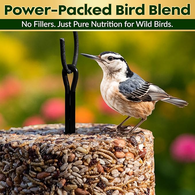 Bugs, Nuts & Berries Bird Seed Cylinders with Hole – Wild Bird Food for Blue Birds, Woodpeckers, Cardinals & More – Premium Protein-Rich Blend, No Fillers – USA Made (4" x 7.75") 2 Pack