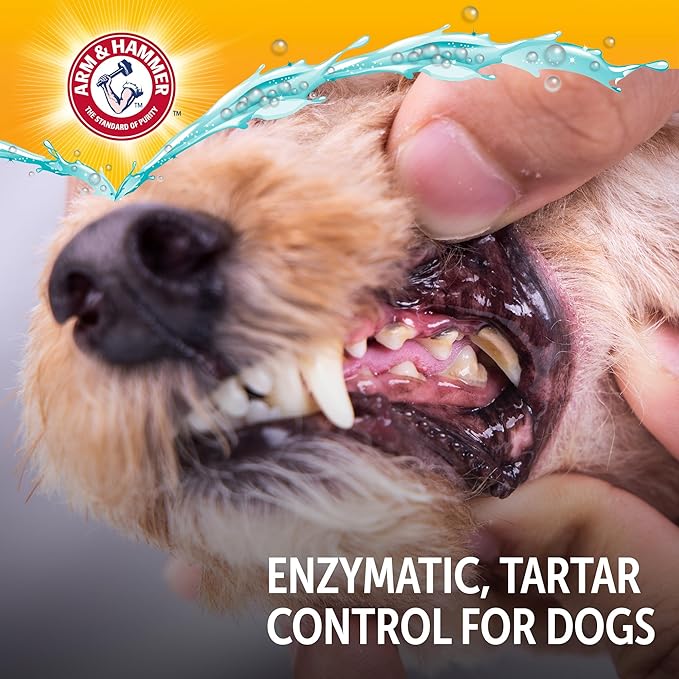 Arm & Hammer Complete Care Enzymatic Dog Toothpaste with Baking Soda and Calcium, Fluoride-Free Chicken Flavor for Plaque, Tartar, and Fresh Breath, 6.2 Oz Value Size