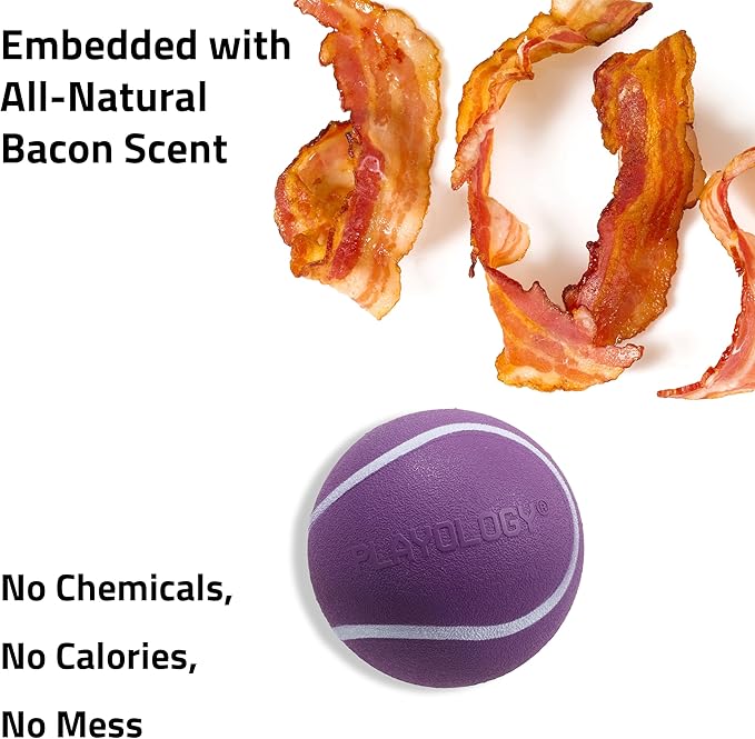 Playology Dog Toys | Squeaky Chew Ball for Dogs, Value 3-Pack | Bacon Scented Small Dog Balls | Bouncy Floating Chew Toys for Fetch
