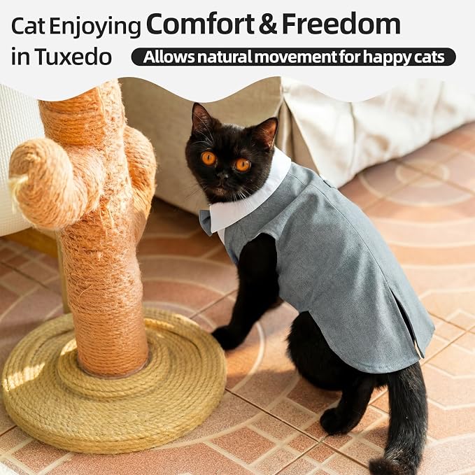 QBLEEV Cat Tuxedo Outfit with Bow Tie, Sphynx Cat Costume Formal Suit Wear | Soft breathable, stylish hairless clothes for cats only, kitten wedding birthday party shirt apparel for male boy
