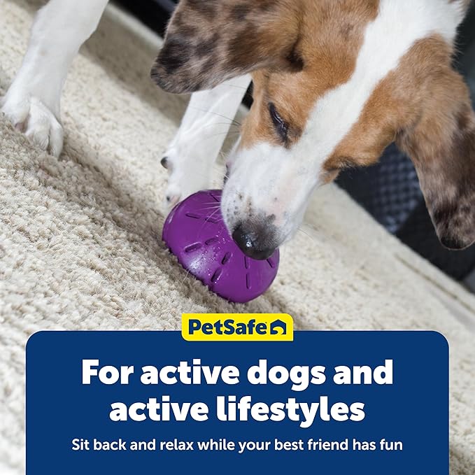 PetSafe Busy Buddy Twist 'n Treat Dispensing Dog Toy - Large