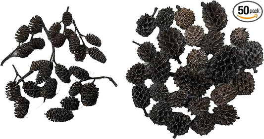 Alder & Casuarina Cones Betta Shrimp Tank Promotes Natural Habitat, Breeding, Tannin Producing Improves Immunity, Easy to Use, by Awesome Aquatic (50-25 ea Alder/Casuarina)