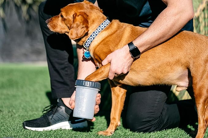 Dexas Lidded MudBuster Dog Paw Cleaner in Light Gray - Fits 1.5"-2.5" Wide Paws, Portable Paw Washer for Muddy Paws, Dog Paw Cleaning Cup with Gentle Silicone Bristles, Quick Clean Pet Paw Washer