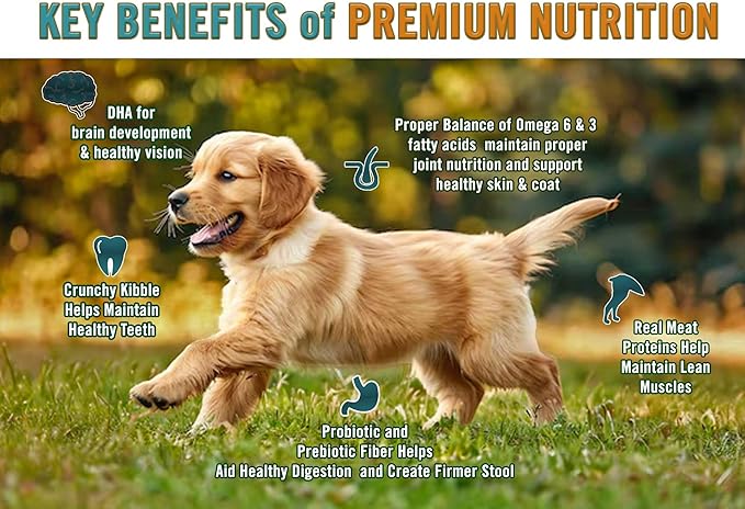 Chicken Soup for The Soul All Natural Premium Dry Puppy Food, Real Meat First Ingredient, No by-Products, Supports Brain Development & Strong Bones & Teeth, Chicken, Turkey & Brown Rice, 13.5lb