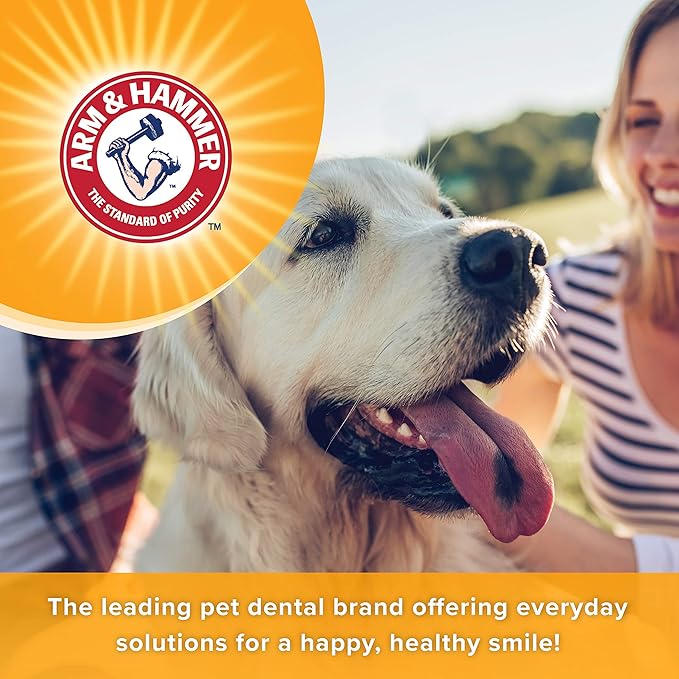 Arm & Hammer for Pets Tartar Control Dental Mints for Dogs | Dog Dental Mints Help Reduce Plaque & Tartar Buildup Without Brushing | Beef Flavor, 40 Count (Pack of 4)