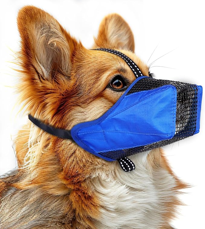 Mesh Dog Muzzle, Breathable Soft Dog Muzzle with Reflective Straps for Secure Fit, Prevents Biting, Chewing Scavenging- Adjustable for Small Medium Large Dogs,Blue,M