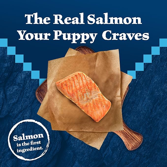 Blue Buffalo Wilderness High-Protein Natural Dry Food for Puppies, Salmon Recipe, 24-lb. Bag