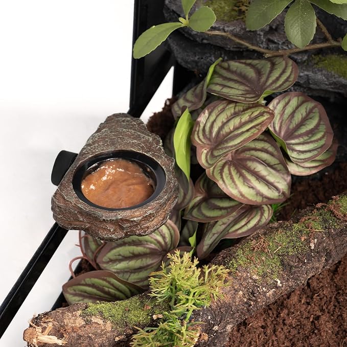 Magnetic Gecko Feeding Ledge, Reptile Food Dish with 3PCS Feeding Cups Crested Gecko Feeder Ledge Water Bowl for Lizard Chameleon Bearded Dragon Tank Accessories