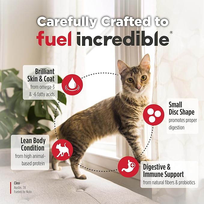 Nulo Freestyle Senior Dry Cat Food - Alaska Pollock & Sweet Potato, High Protein, Natural Grain Free Cat Food with Probiotics and L-Carnitine, 14lb Bag