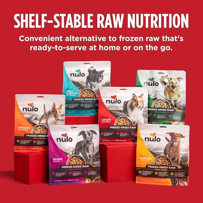 Nulo Freeze-Dried Raw Lamb Recipe with Raspberries Complete and Balanced Dry Dog Food Kibble, 8 Ounce Bag