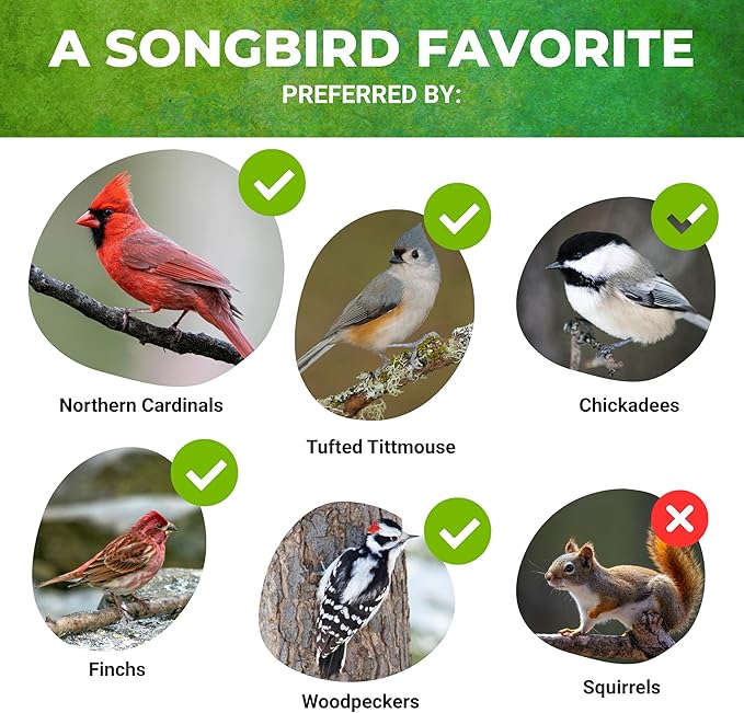 Nature Anywhere Safflower Bird Seed for Outside Feeders Safflower Supreme, 100% Pure Safflower Seed, Made in USA, No Fillers, Premium Wild Bird Food