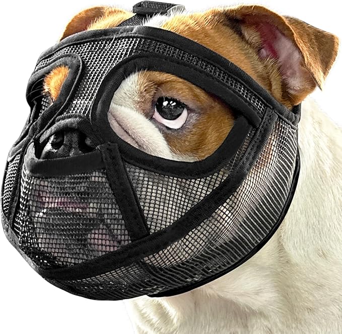Mayerzon Short Snout Dog Muzzle for French Bulldog with Full Pant Design to Prevent Eating Biting, Soft Mesh Dog Muzzle for Shih Tzu Pug English Bulldog for Grooming Walking, Allow to Drink and Feed