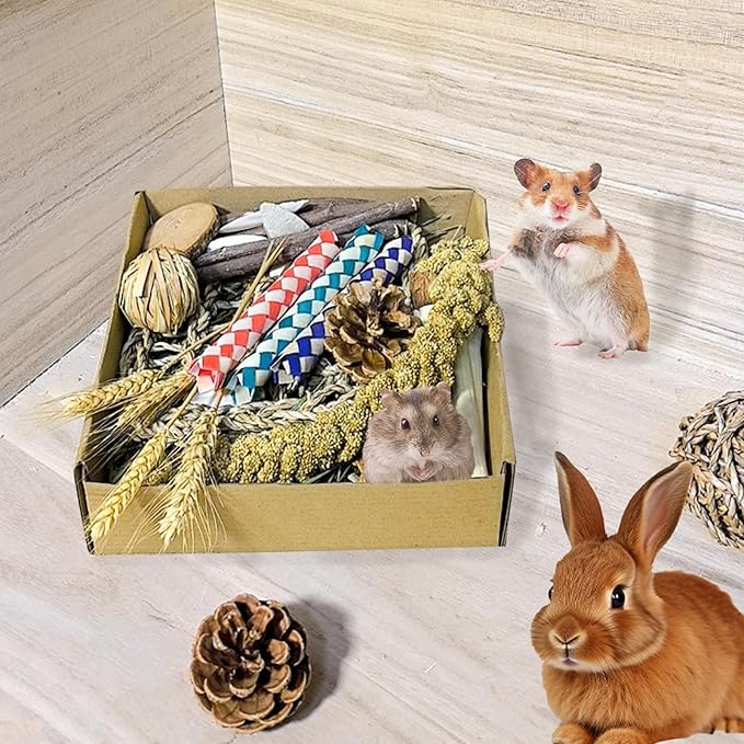 Hamster Toys Box for Chewing&Teeth Grinding Natural Hamster Treats for Chinchilla Rat Hamster Bunny and Other Small Pets (Small)