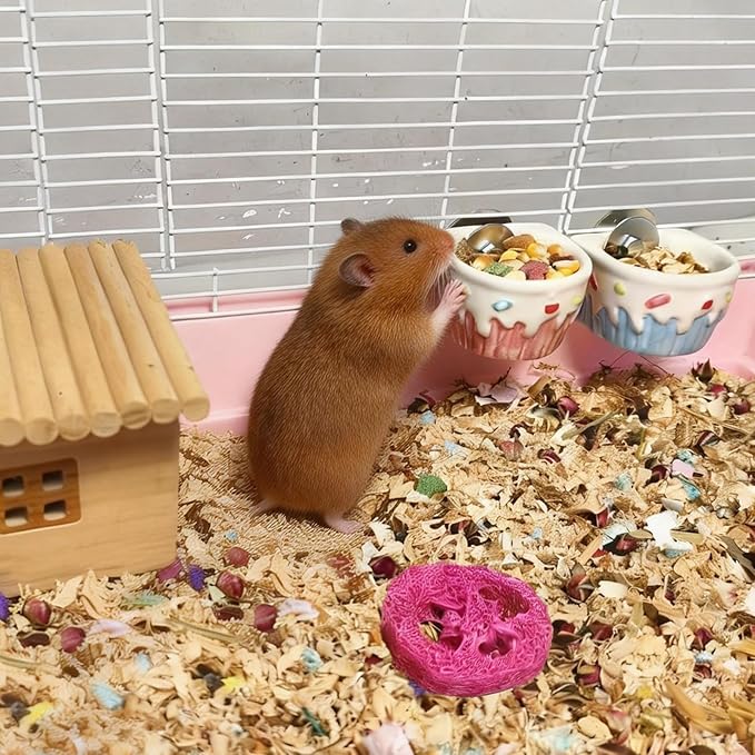 2 PCS Ceramic Hamster Food Bowl Hamster Food Water Dish Feeder Cage Accessories for Mice Rats Hedgehog Gerbil