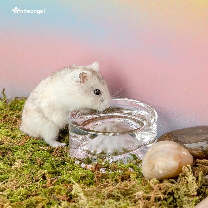 Niteangel Hamster Feeding & Water Bowls- Mount Fuji Series Glass Drinking Bowls for Dwarf Syrian Hamsters Gerbils Mice Rats or Other Similar-Sized Small Pets