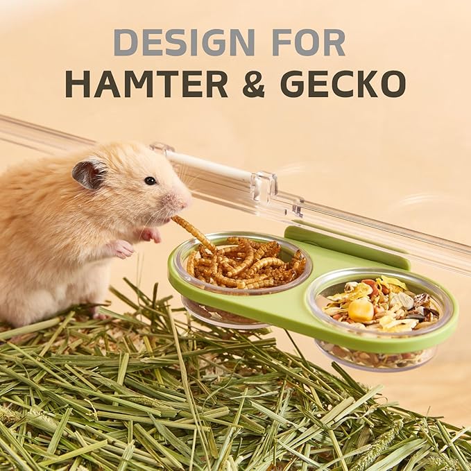 Magnetic Reptile Feeding Ledge with 2 Pack Plastic Bowls Food Feeder Water Dish for Crested Gecko Dwarf Hamster (Green, Magnetic-Mounted)