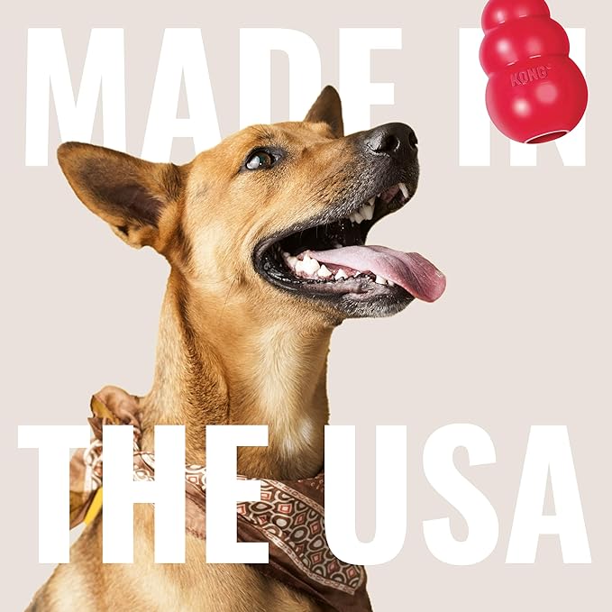 KONG Stuff-A-Ball - Durable Chew Toy for Dogs - Natural Rubber Dog Toy for Dental Health - Pet Toy for Chewing & Teeth Cleaning - Stuffable Toy for Dog Treats & Snacks - for Large Dogs