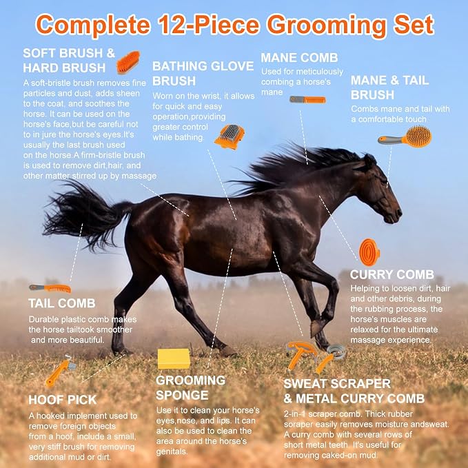 Professional Horse Brush Kit with Storage Tote, 12-Piece Grooming Set for Daily Stable Care, Includes Curry Comb, Hoof Pick & Mane Brush