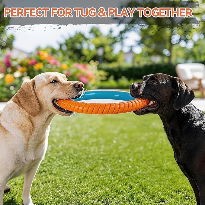 ALL FOR PAWS 10.8" Dog Ring Toy, Interactive Dog Toy for Fetch & Tug of War, Rubber Dog Toy for Medium to Large Dogs, Outdoor Dog Toy for Training & Exercise, Anxiety Relief & Boredom