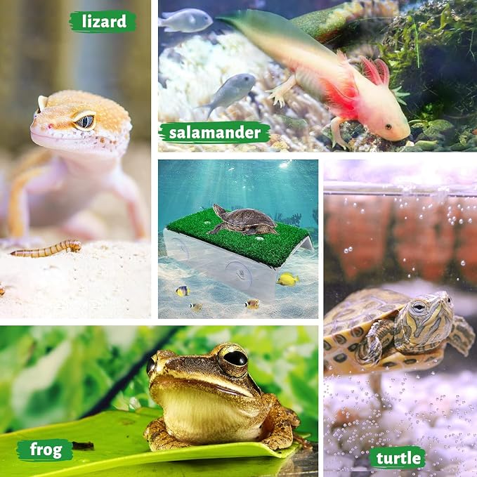 Keedolla Lawn Turtle Basking Platform Tortoise Resting Terrace, Simulation Grass Turtle Ramp Tortoise Climbing Ladder for Aquarium, Fish and Turtle Tank - Large