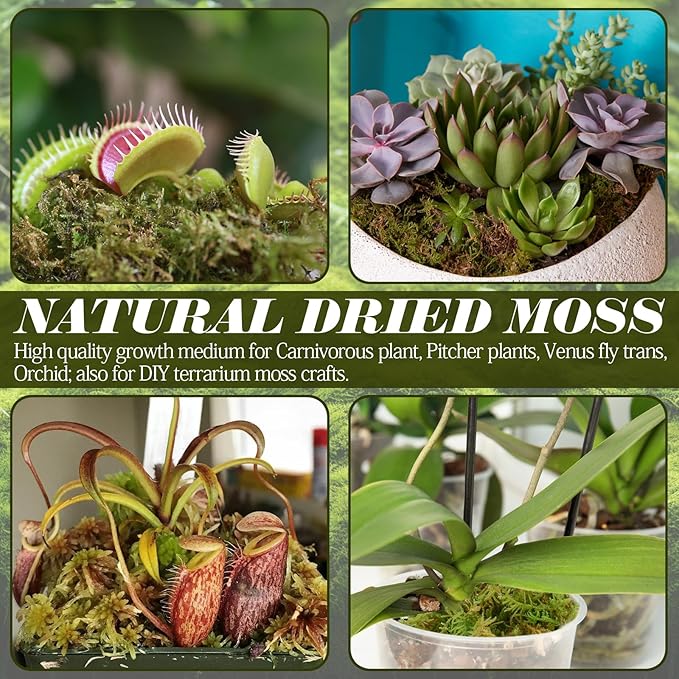 ZeeDix 8OZ Sphagnum Moss for Reptiles/Plants, Natural Reptile Moss Bedding for Tortoise Gecko Lizard Snake Hermit Crab Terrarium Habitat, Odor Control & Humidity Retention