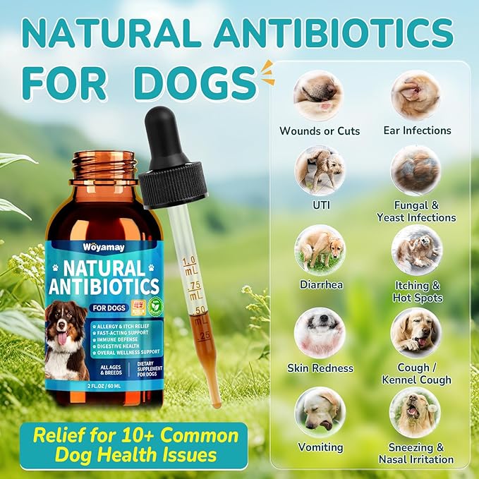 Woyamay Antibiotics for Dogs | Natural Dog Antibiotics for Allergy Relief, Itch Relief, Coughs, Skin Health, Breath Treatment, Digestion | Herbal Supplement to Care for Ears, Eyes & Coat, 2 Fl Oz