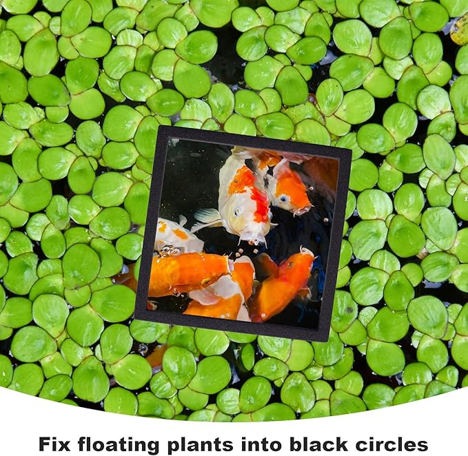 PAGOW 10pcs Fish Feeding Rings Set, Floating Aquarium Plant Corral, Round & Square Fish Feeder Rings for Fish Tank, Floating Plant Ring, Fish Tank Aquarium Accessories for Betta (Black)