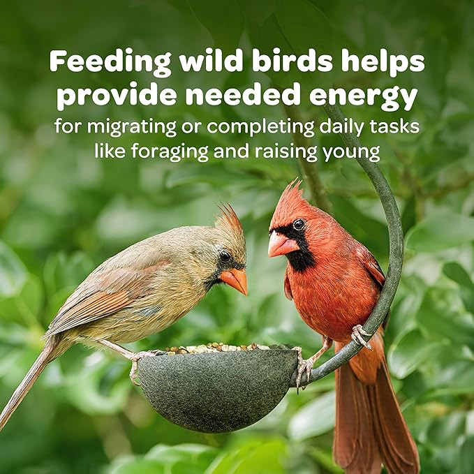 Kaytee Cardinal Wild Bird Seed, 7 lb
