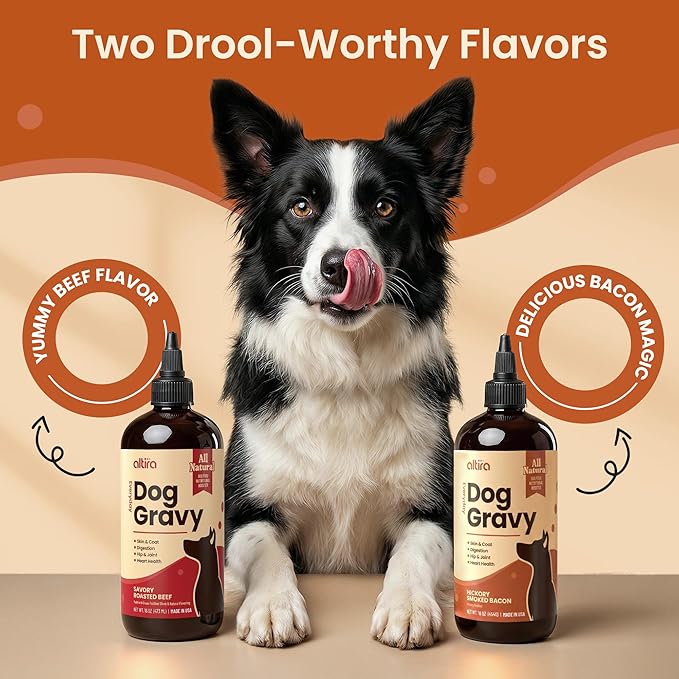 Everyday Dog Gravy - Wet Dog Food Topper for Dry Food with Glucosamine, MSM, Chicken Bone Broth, Omega 3, Probiotics and Taurine - Skin, Coat, Heart, Hip and Joint Support, 16 oz (Bacon