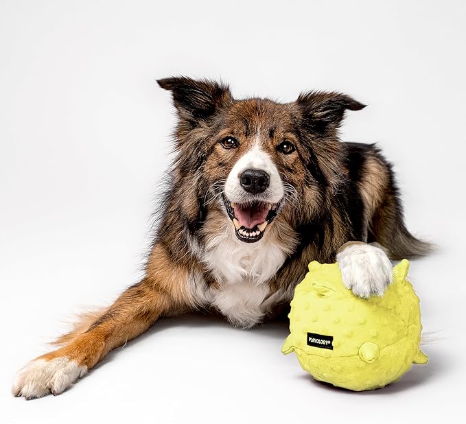 Playology Dog Toys | Plush Sensory Ball for Large Puppies and Young Dogs | Chicken Scented Jumbo Dog Ball Chew Toy | Teething Puppy Essentials