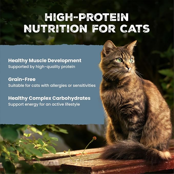 Blue Buffalo Wilderness Turkey Paté Adult Wet Cat Food, High-Protein & Grain-Free Recipe Enhanced with Vitamins, Minerals, and Other Nutrients, 5.5-oz. Cans (24 Count)