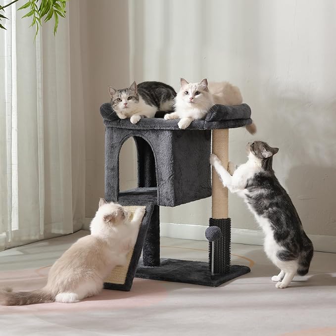 Cat Tree for Large Cats with Scratching Post, Small Cat Tower with Spacious Top Bed 20x13.8” Private Cat Condo and Ramp and Self Groomer and Spring Ball-Dark Grey