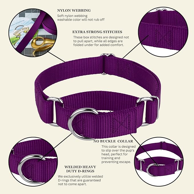 Country Brook Petz - Martingale Dog Collar - Heavy-Duty Training Collar with No Buckle - Service Dog Collar for All Pups - 20 Vibrant Colors (Purple, 1 Inch, Extra Large)
