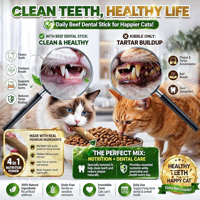 Cat Toy, Kitten Chew Sticks, 250g/8.82oz Freeze Dried Premium Beef Dental Cat Treats for Teeth Cleaning, Long-Lasting Edible Snack for Indoor Cats, High Value Kitty Food (No Cat Grass)