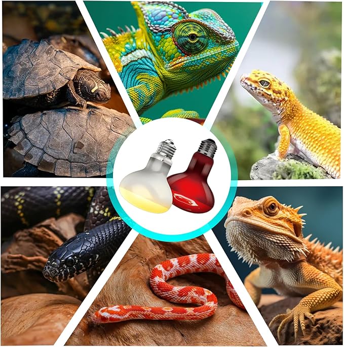Reptile Heat Lamp Bulb 100W, 2-in-1 Infrared & UVA Sunlight Combo for Day & Night Basking – Perfect for Reptile Terrariums, Bearded Dragon, Snake, Turtle, Lizard