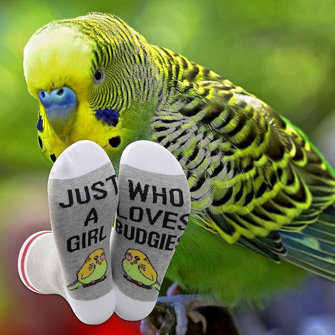 G2TUP 2 Pairs Budgie Lover Gift Just A Girl Who Loves Budgies Socks Parakeets Budgie Bird Lover Socks Budgies Mom Gift