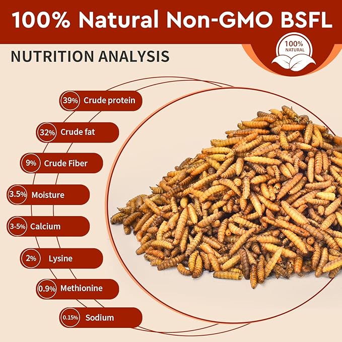 BUNTIE WORMS Dried Black Soldier Fly Larvae 10LB, 100% Natural Non-GMO, No Additives, Treat for Chickens, Reptiles and Birds, More Calcium Than Mealworms
