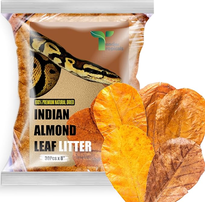Leaf Litter for Snakes 30Pcs Indian Almond Catappa Leaves 8" Reptile Tank Substrate Corn Snake & Ball Python,Isopods - Maintains Humidity, Bioactive Vivarium Bedding & Terrarium Decor