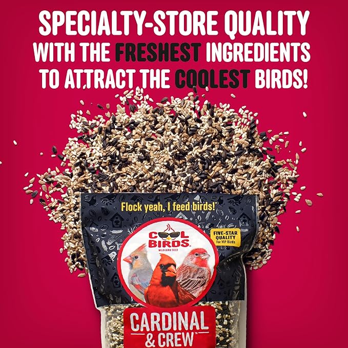 Cool Birds Cardinal & Crew Wild Bird Seed – 10 lb. Black Oil Sunflower, Sunflower Hearts & Safflower Blend for Cardinals, Grosbeaks & Chickadees – Bird Food for Outside Feeders