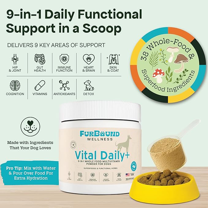 Dog Multivitamin Powder | 9-in-1 Whole Food Dog Vitamins and Dog Supplements that Supports Joint, Digestion, Skin & Coat, Immune, Cognition, Detox, Heart, Antioxidants (Cheesy Beef Flavor)