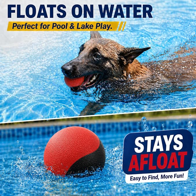 Squeaky Dog Ball for Fetch – Floating Rubber Ball for Water Play, Easy to Spot, Keeps Dogs Engaged, Durable for Pool, Lake & Outdoor Use, 2.7 Inch for Small & Medium Dogs